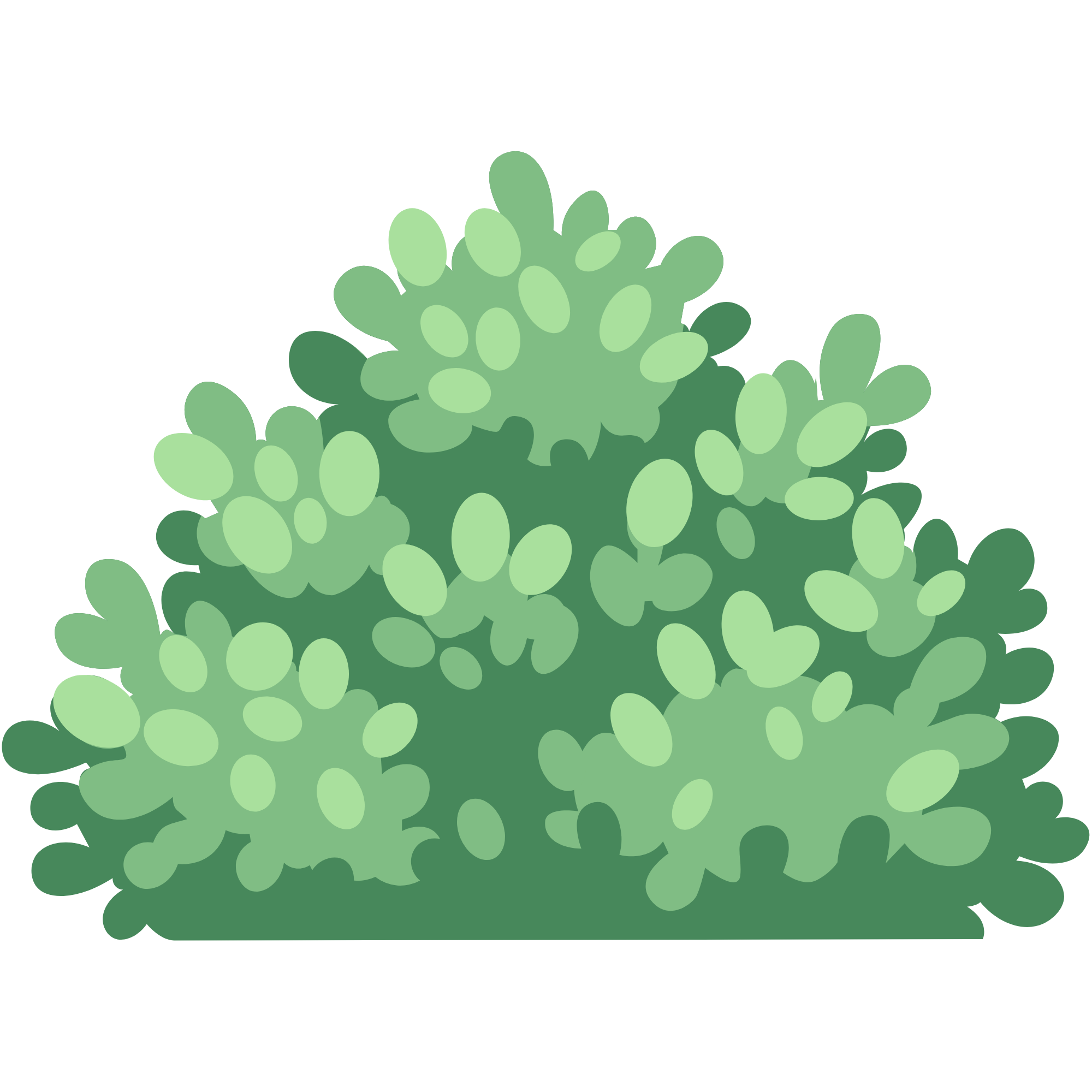 Illustration of green succulents or cacti with rounded, bulbous shapes.