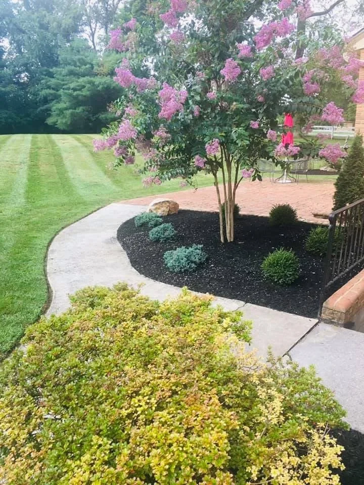 landscaped backyard with a pink flowering tree, bushes, sidewalk, brick patio, and green lawn