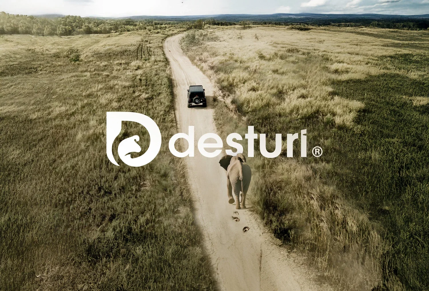 Desturi Safari Identity