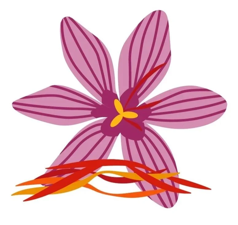 Illustration of Saffron Flower