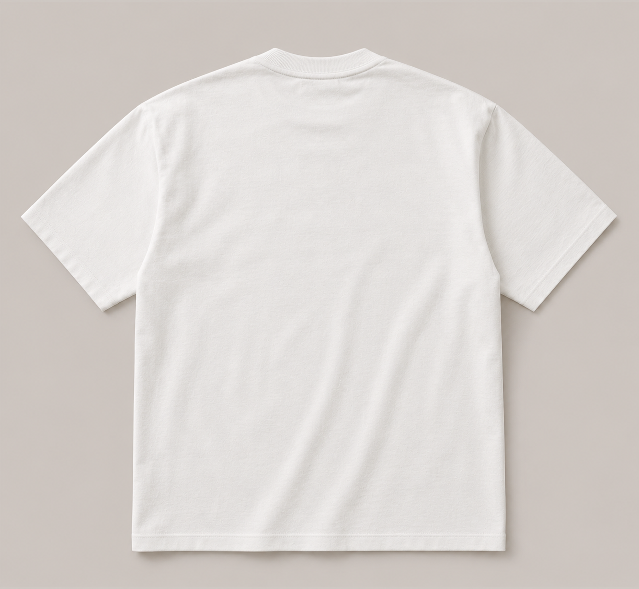 NEPOTISM TSHIRT BACK.png