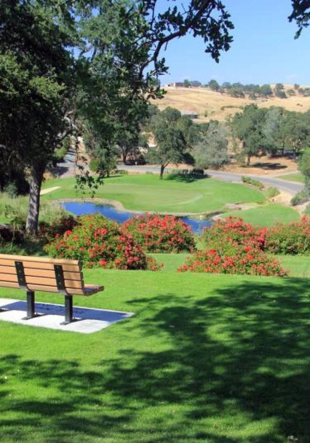 Hole 13