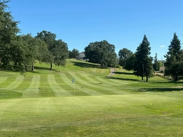 Member Guest