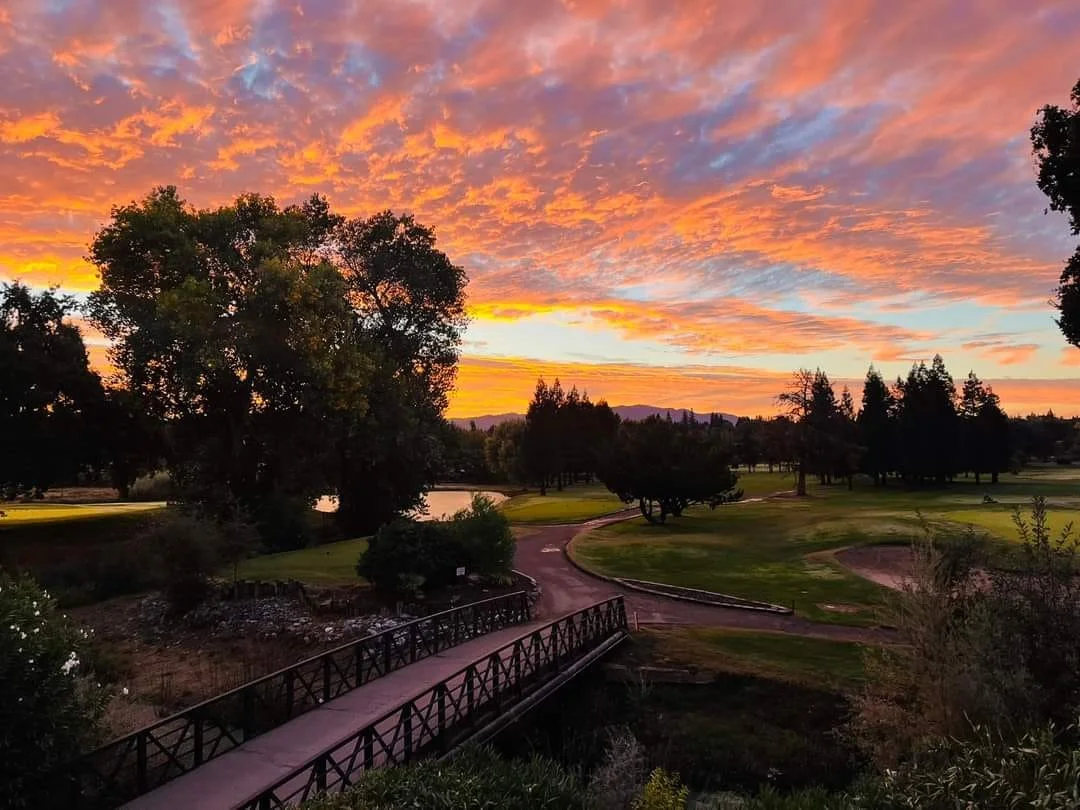 Looking out from the Clubhouse