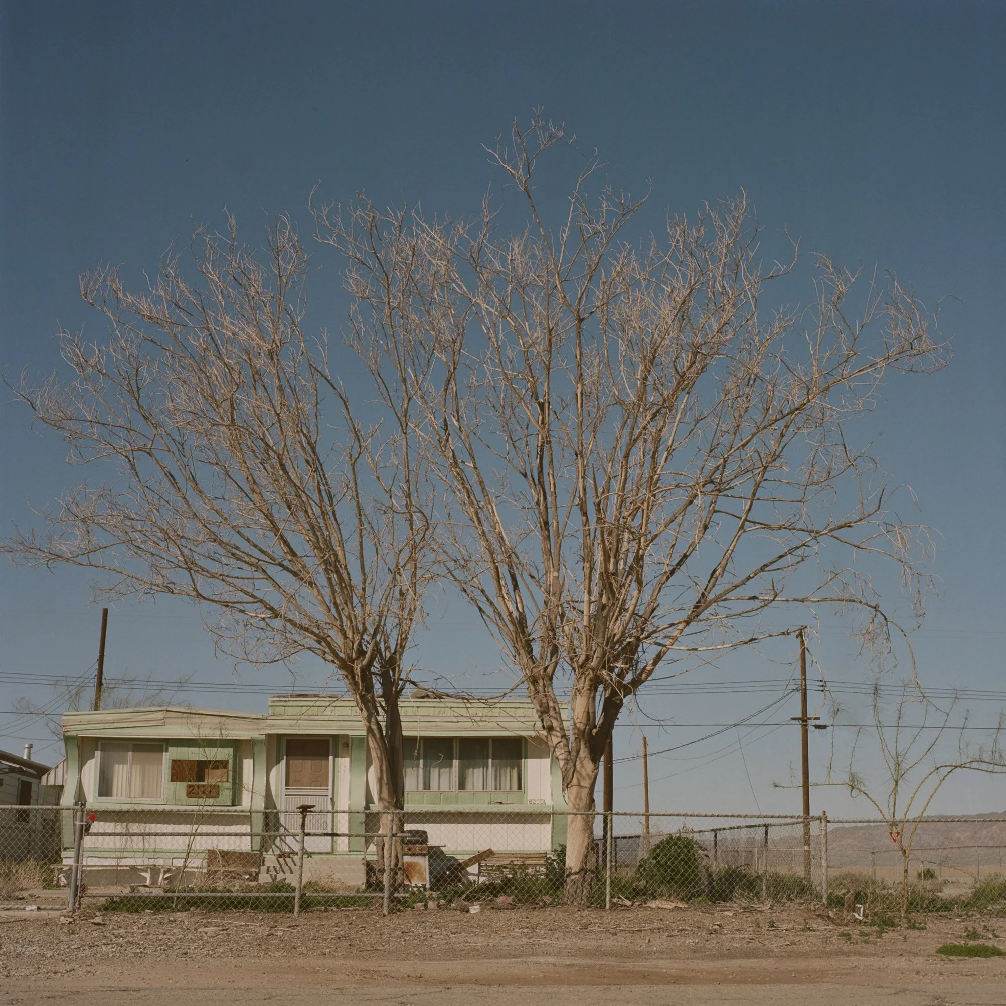 A tall, leafless tree stands in front of a two-story house with a light green exterior and a small porch. The house has multiple windows, and there's a chain-link fence and some objects in the yard. The sky is clear and blue.