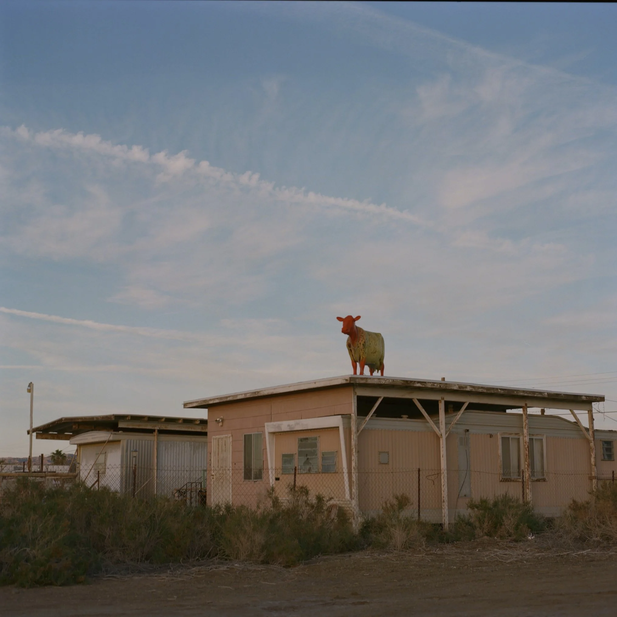 A house with a cow sculpture on the roof against a blue sky with some clouds.