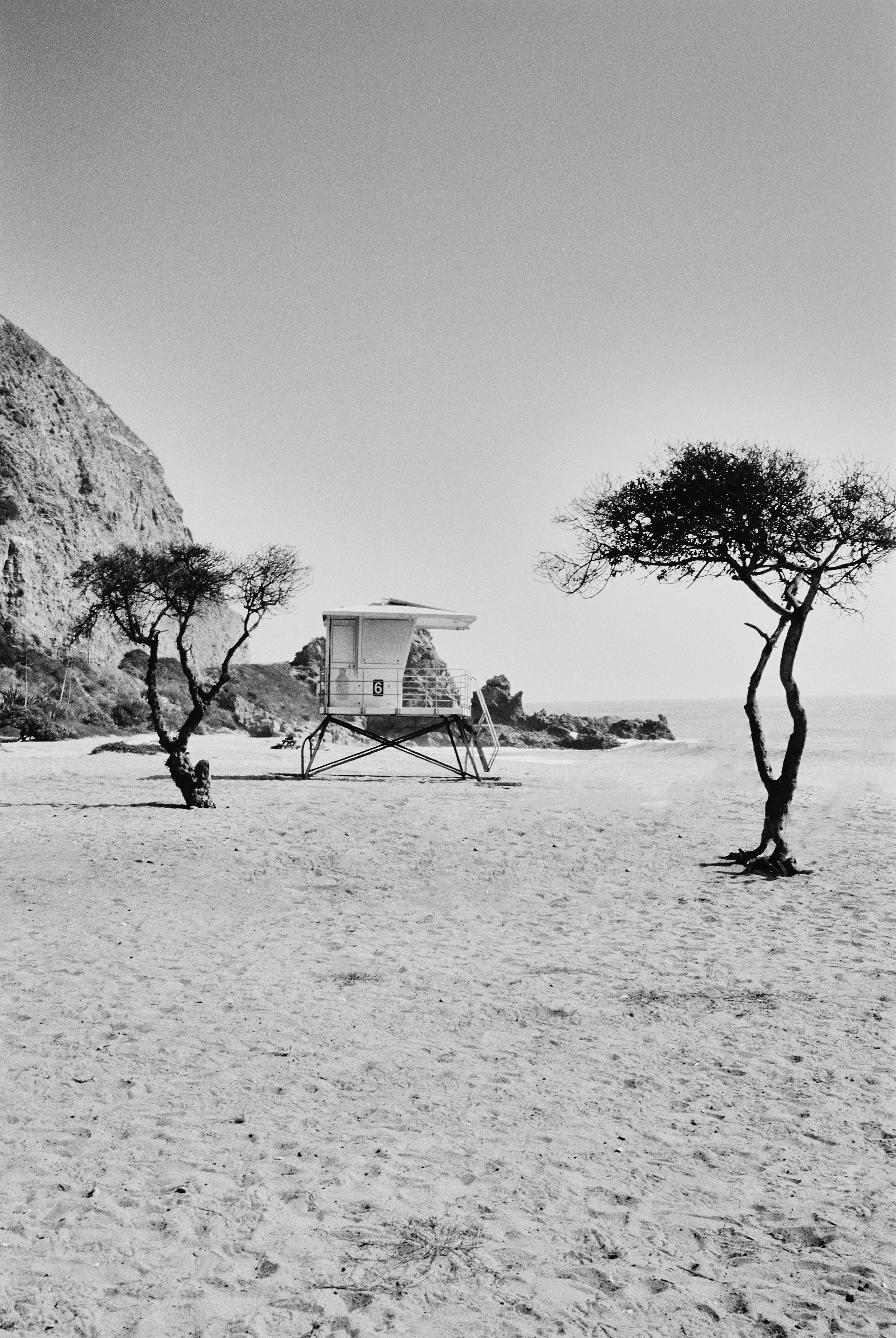 A black and white photograph of a beach with three sparse trees, a lifeguard tower, and a rocky island with cliffs in the background.