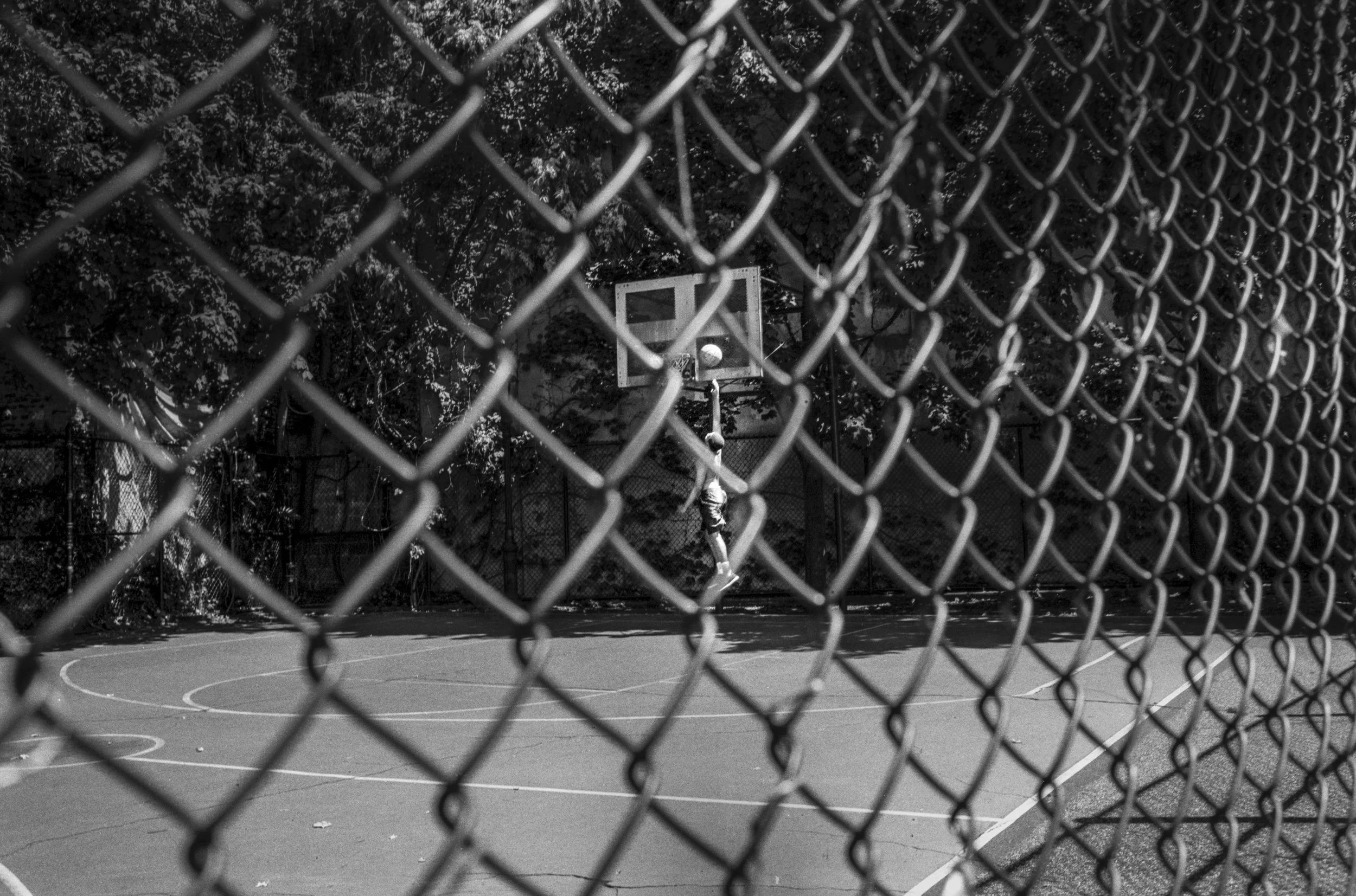 An outdoor basketball court seen through a chain-link fence at night, with a basketball hoop and trees in the background.