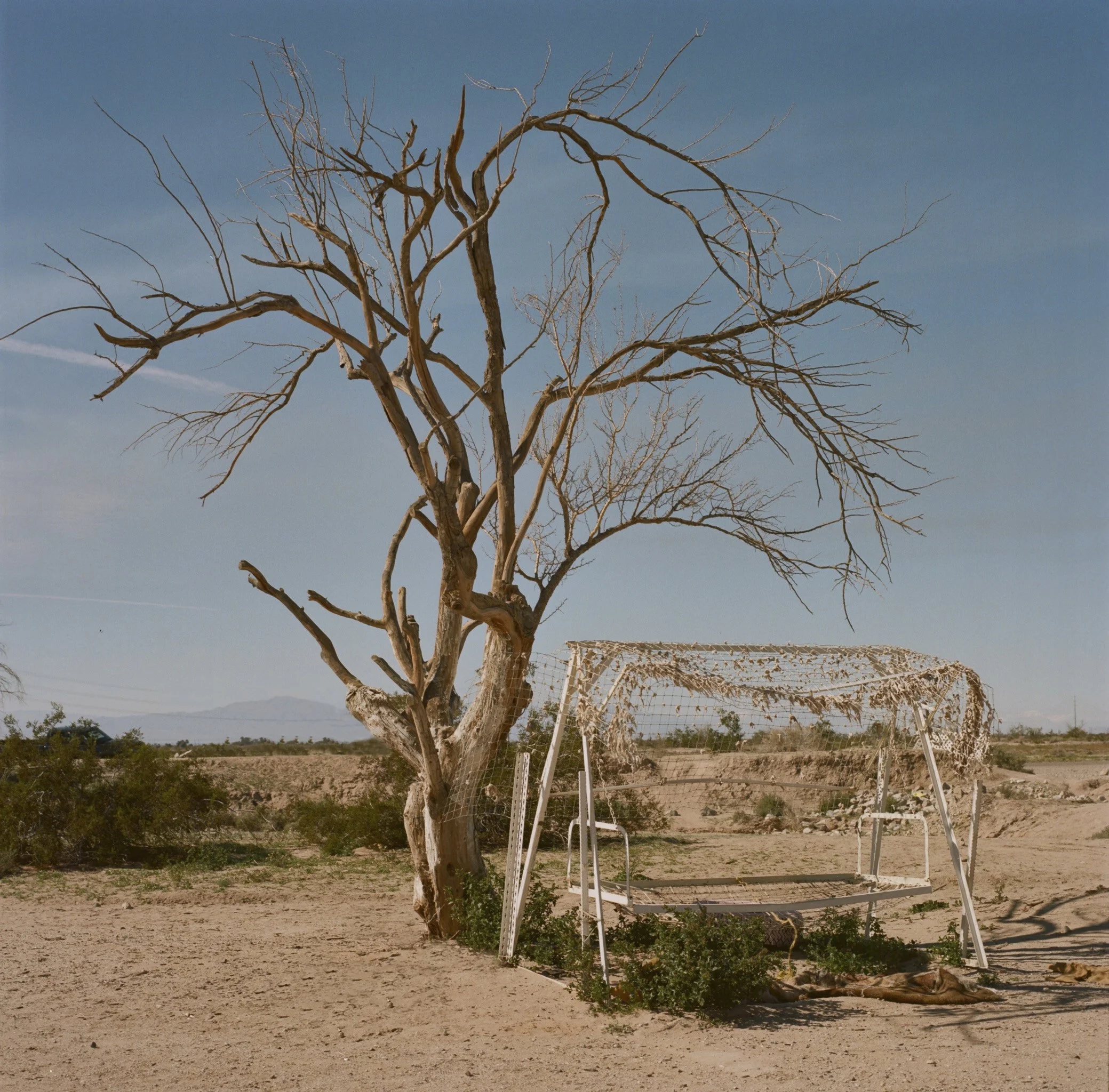 A leafless tree next to a broken white metal fence in a desert landscape, with mountains in the background and a mostly clear blue sky.