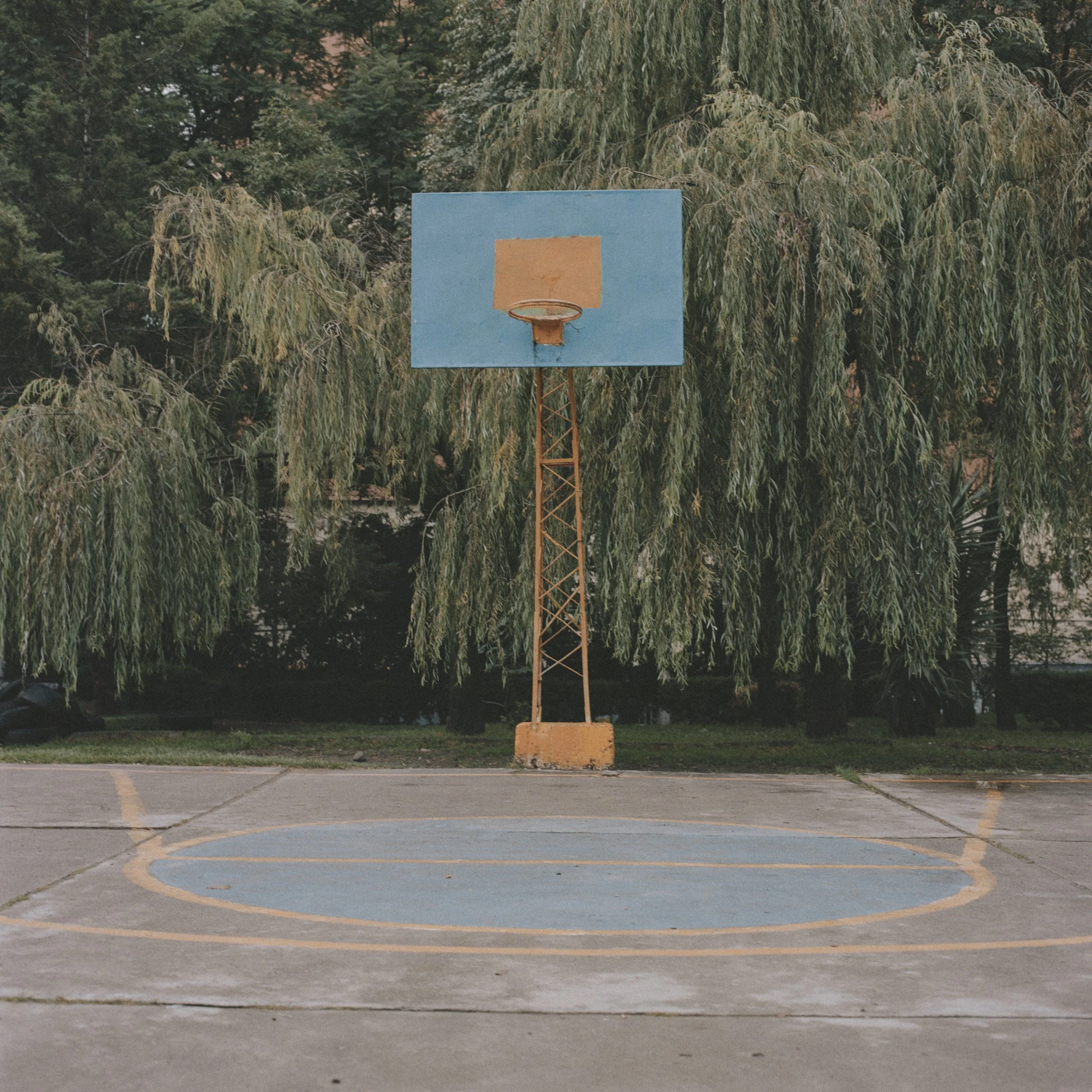 Empty outdoor basketball court with a basketball hoop and backboard, surrounded by trees.