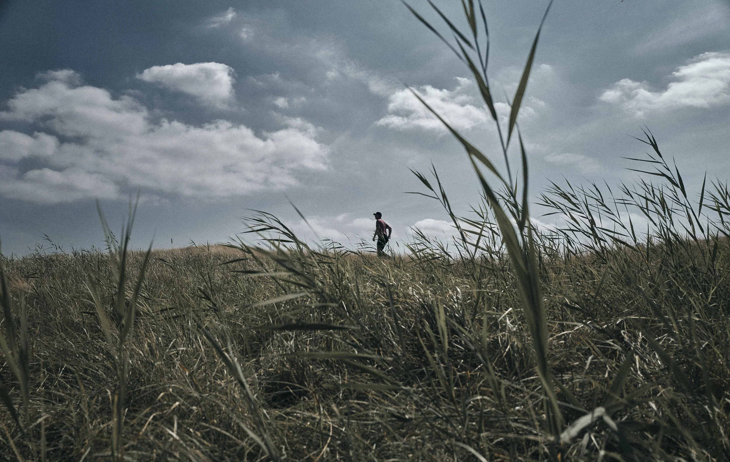 Person walking through tall grass under cloudy sky
