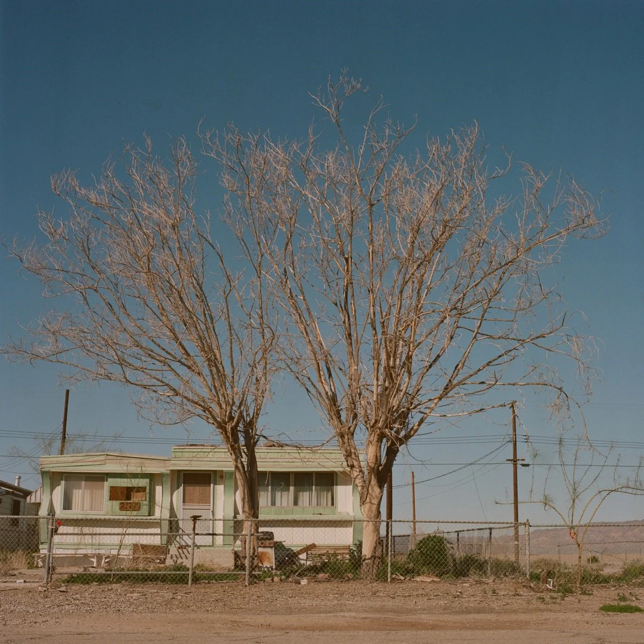 A house with a chain-link fence under two leafless trees, with power lines and a clear blue sky in the background.