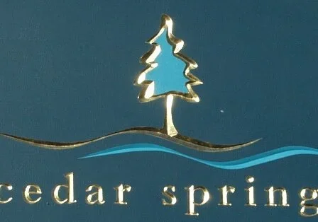 cedar_springs_estate_hanging_sign.webp
