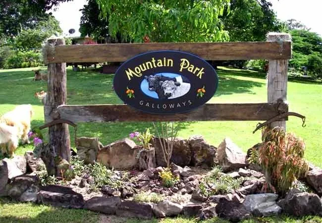 mountain-property-sign-2.webp