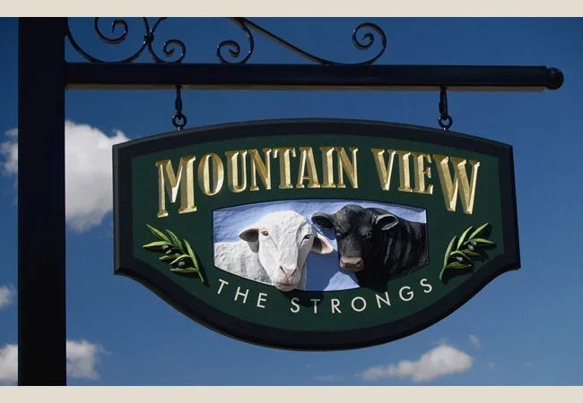 mountain-view-property-sign.webp