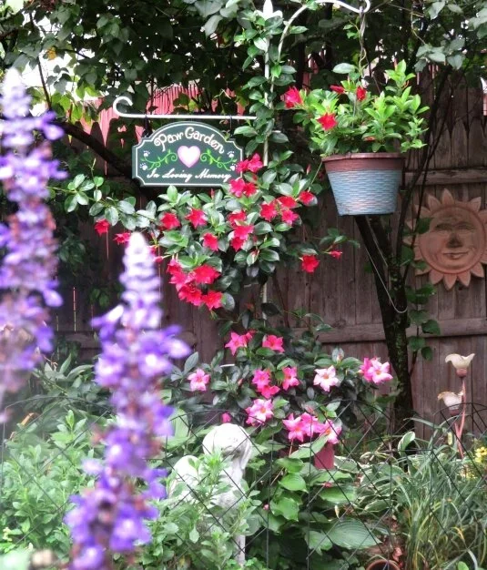 paw-garden-hanging-handcrafted-painted-house-sign-usa.webp