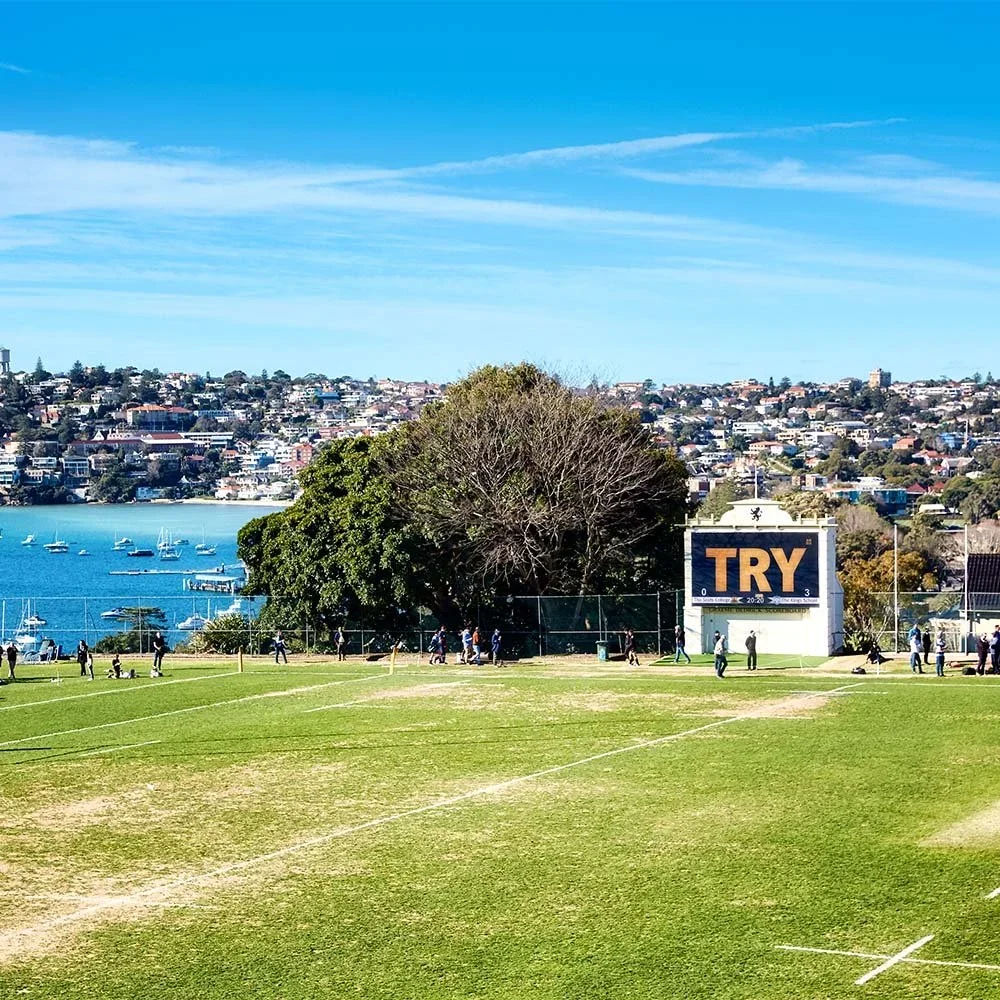 the-scots-college-sydney-scoreboard.webp