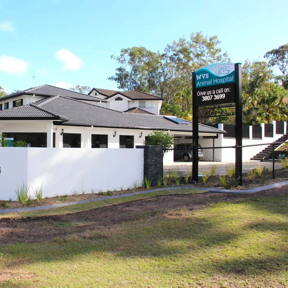 windaroo-vet-surgery-brisbane-electronic-advertising-sign.webp