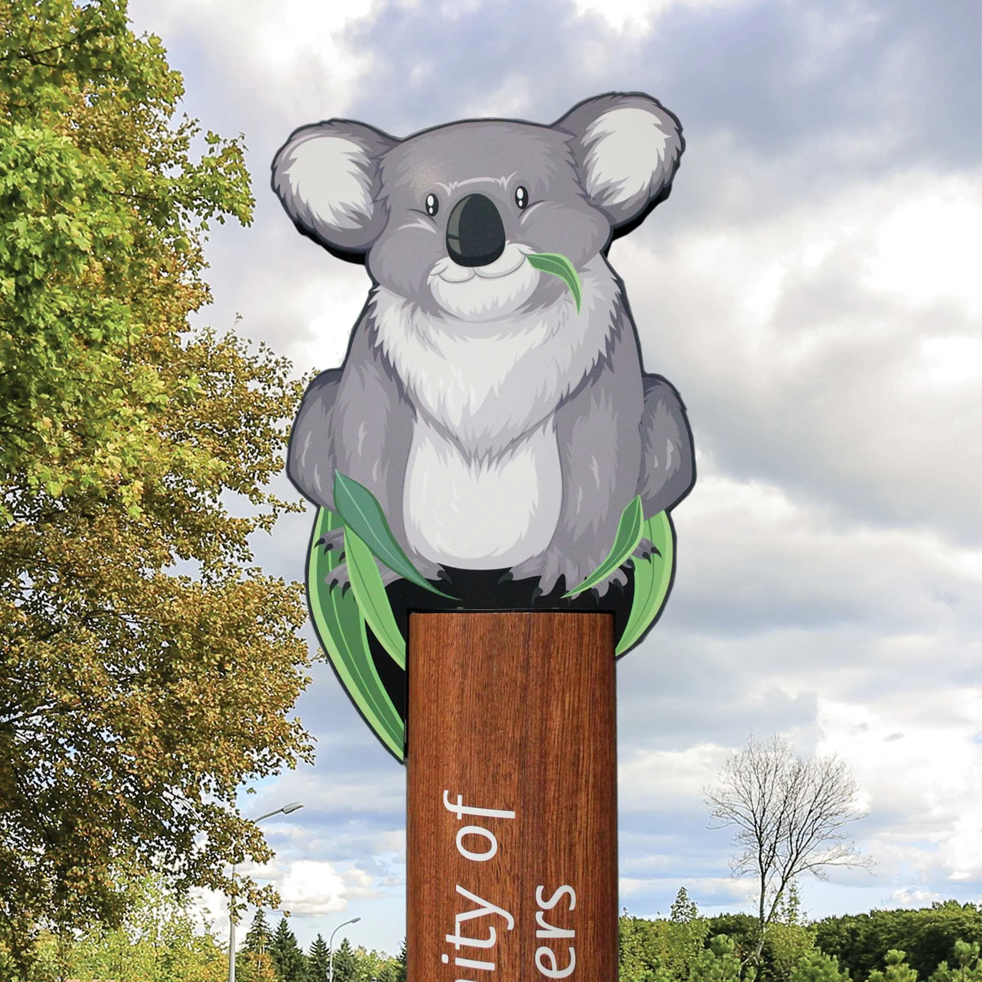 Koala-IMG_3639.jpg