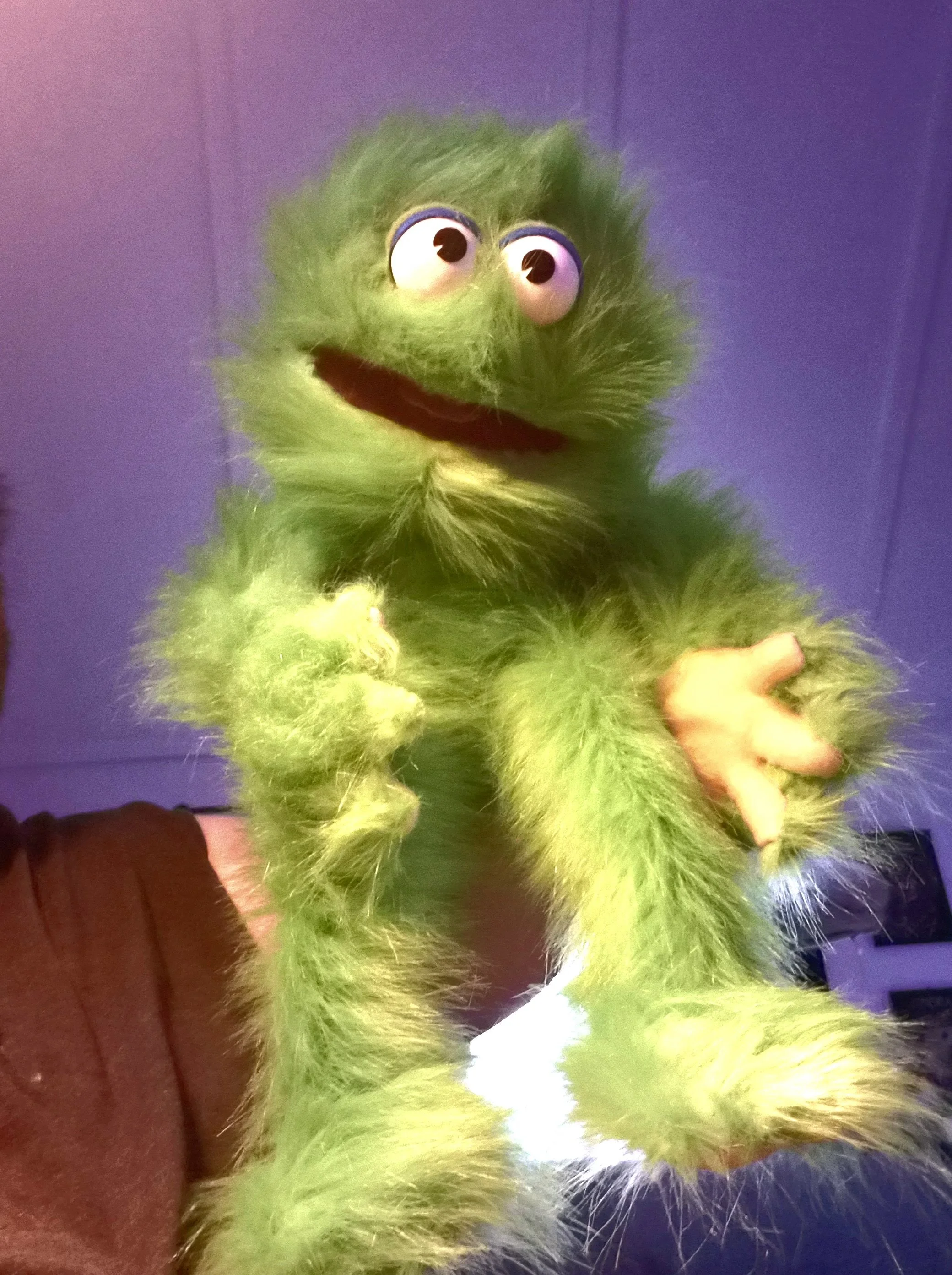 Ready Puppet MID-ISLAND PUPPETS | Create, Learn, Perform — Join Us Today