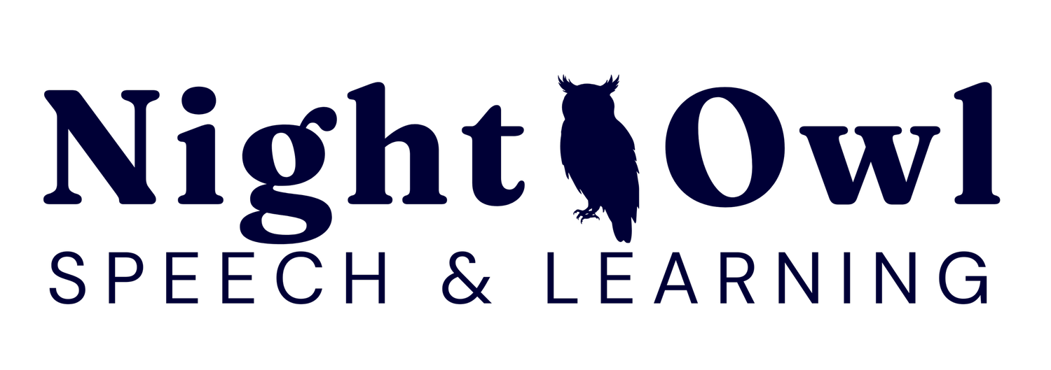 Night Owl Speech &amp; Learning