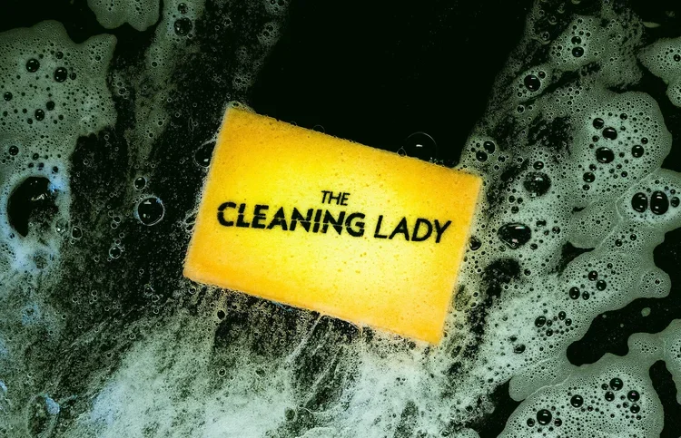 The Cleaning Lady