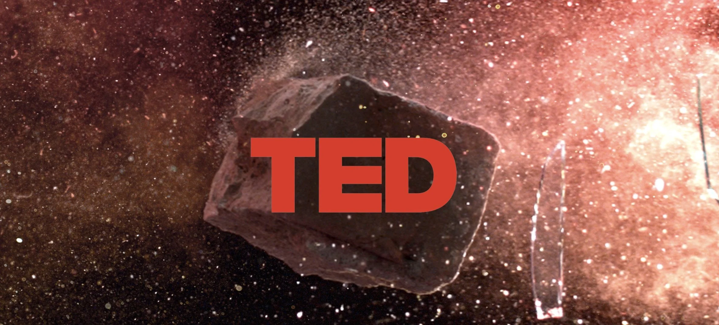 TED Opening