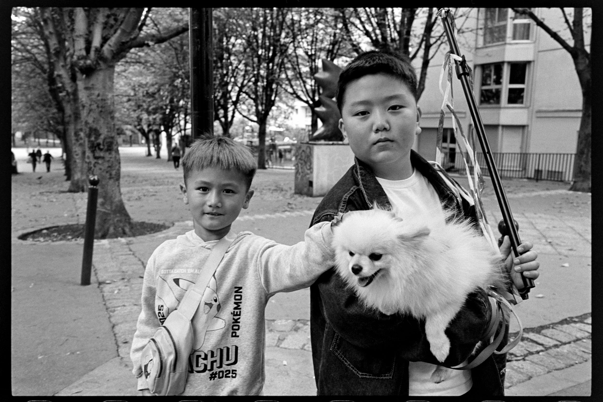 Deux jeunes garçons dans un parc, l'un tenant une petite chihuahua, l'autre touchant le chien, en arrière-plan des arbres et des bâtiments.