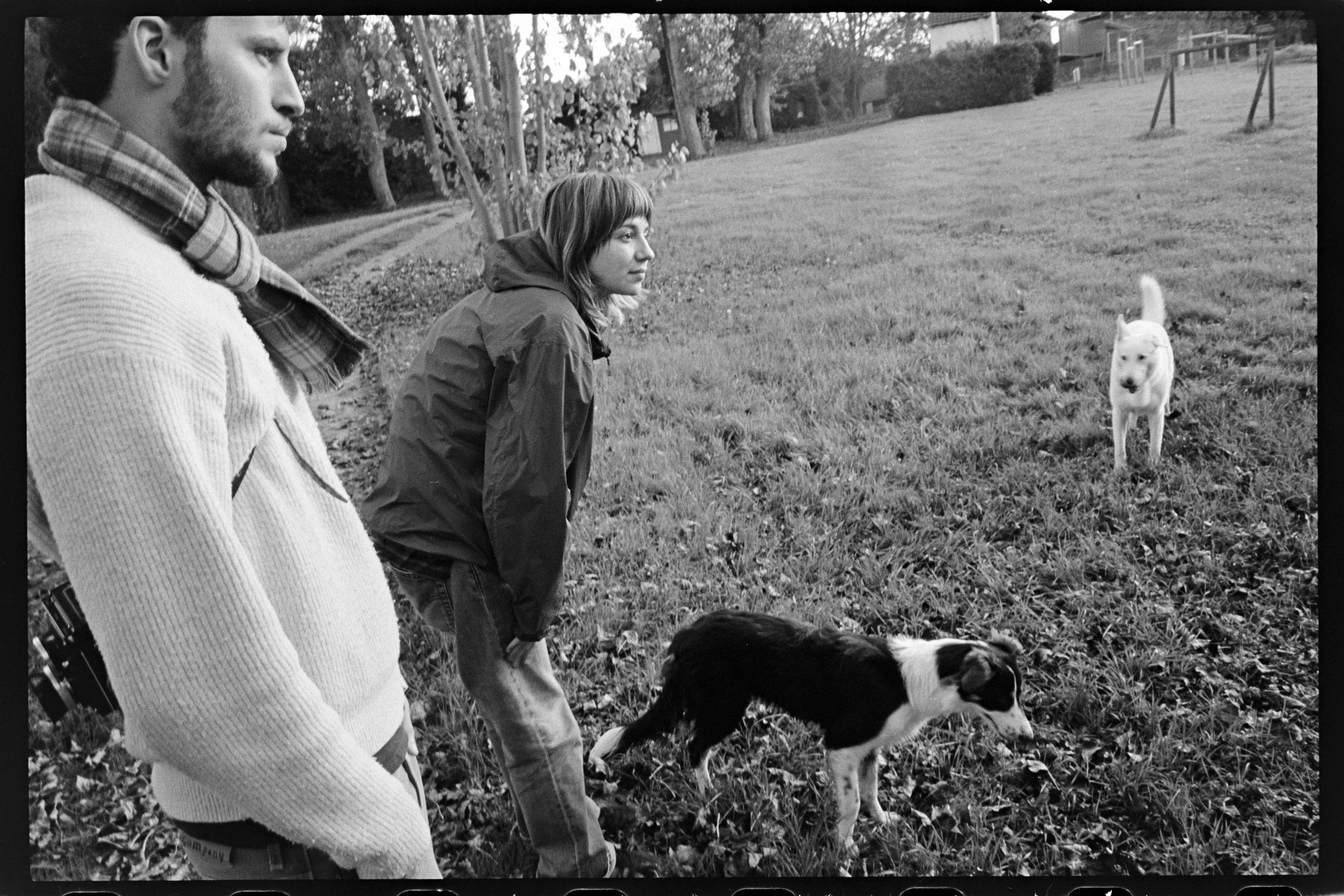 Trois personnes et deux chiens dans un parc, l'un des chiens étant blanc et l'autre noir et blanc, avec des arbres et un terrain herbeux en arrière-plan.