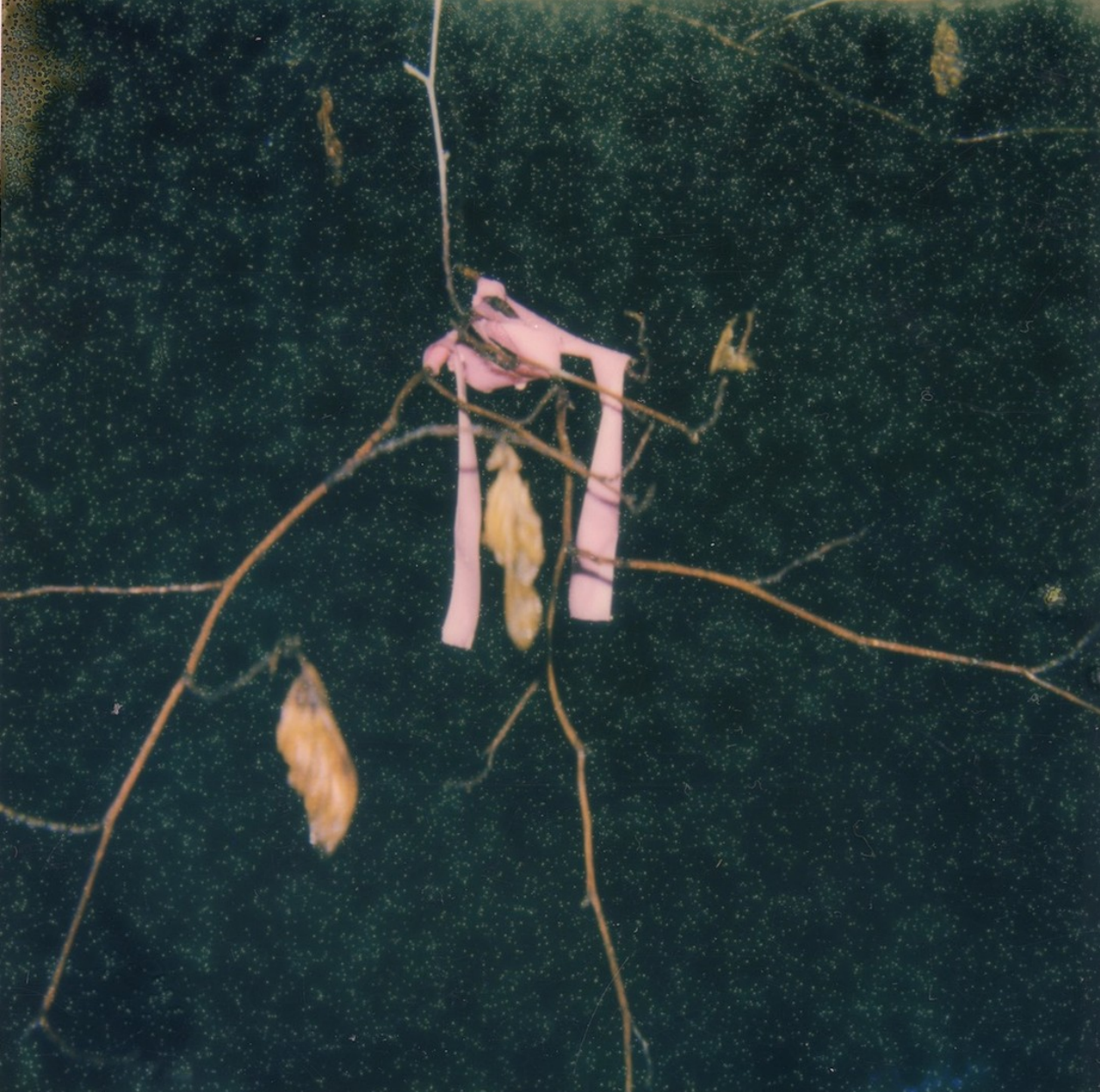 Screenshot 2026-03-02 131158.png