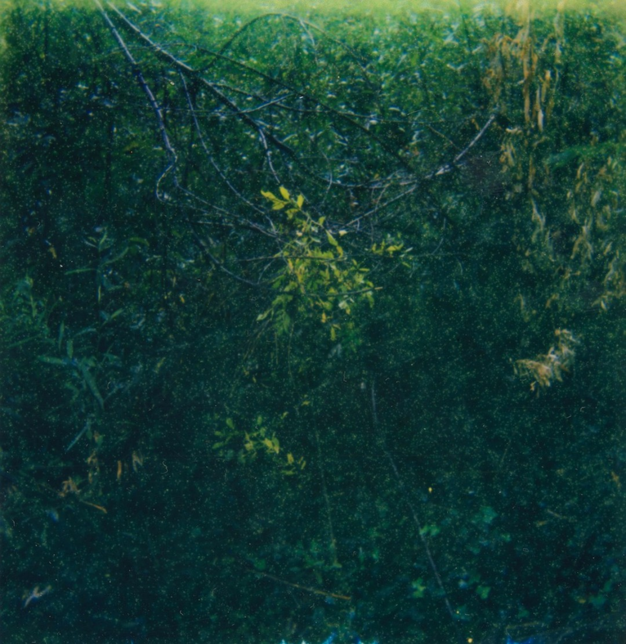 Screenshot 2026-03-02 131139.png