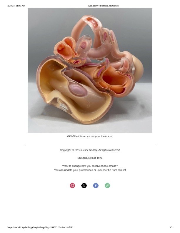 Kim Harty _ Birthing Anatomies 3.jpg