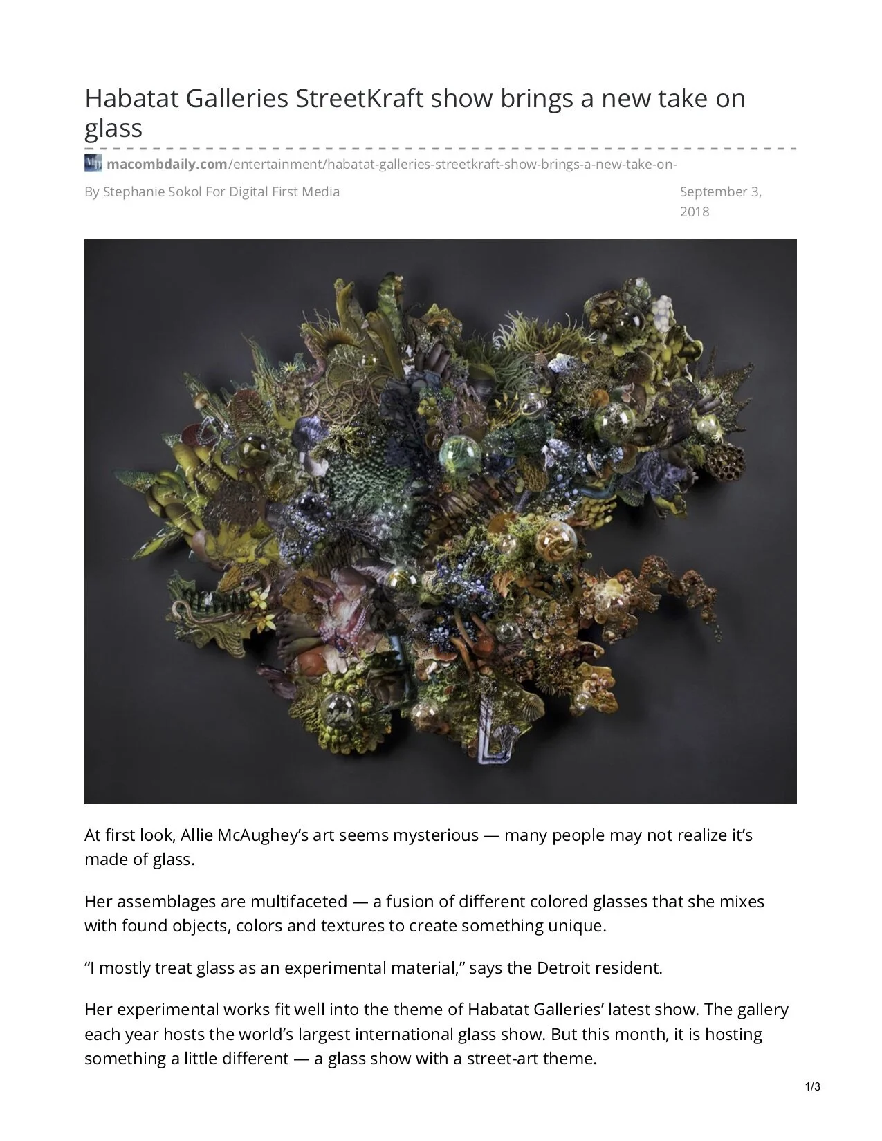 macombdaily.com-Habatat Galleries 1.jpg