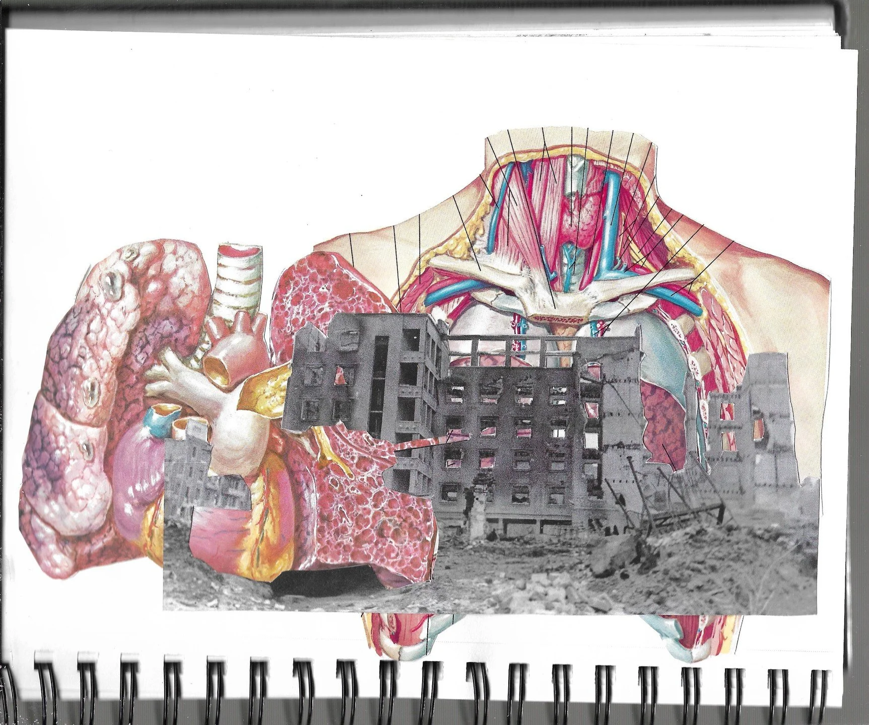 Returning to themes of landscape and ruins. Thinking about bodies that disappear.