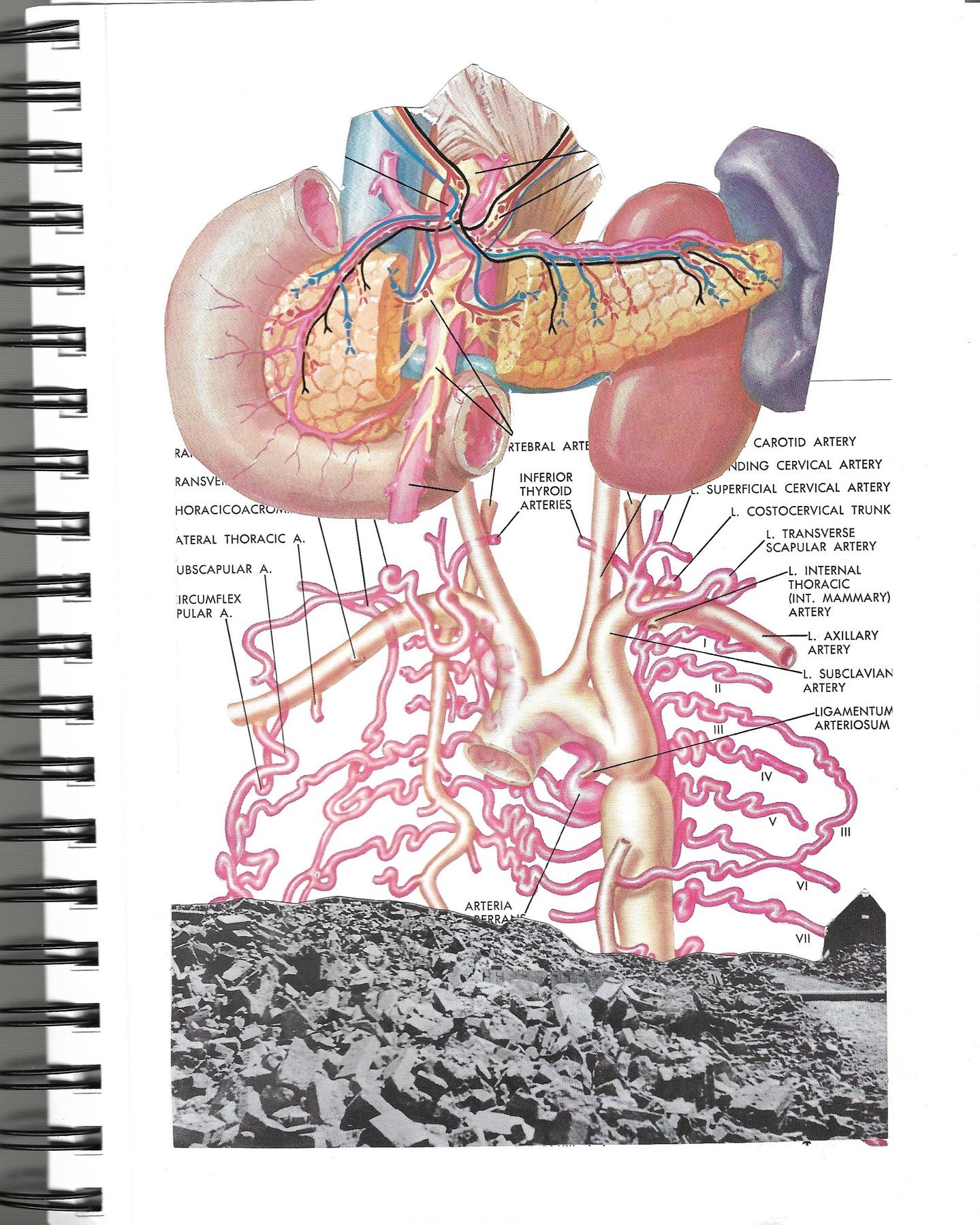 Being off my feet for months with a torn fascia :( has made me give more attention to my sketchbook.
Thinking through the entanglement of bodies and architecture.