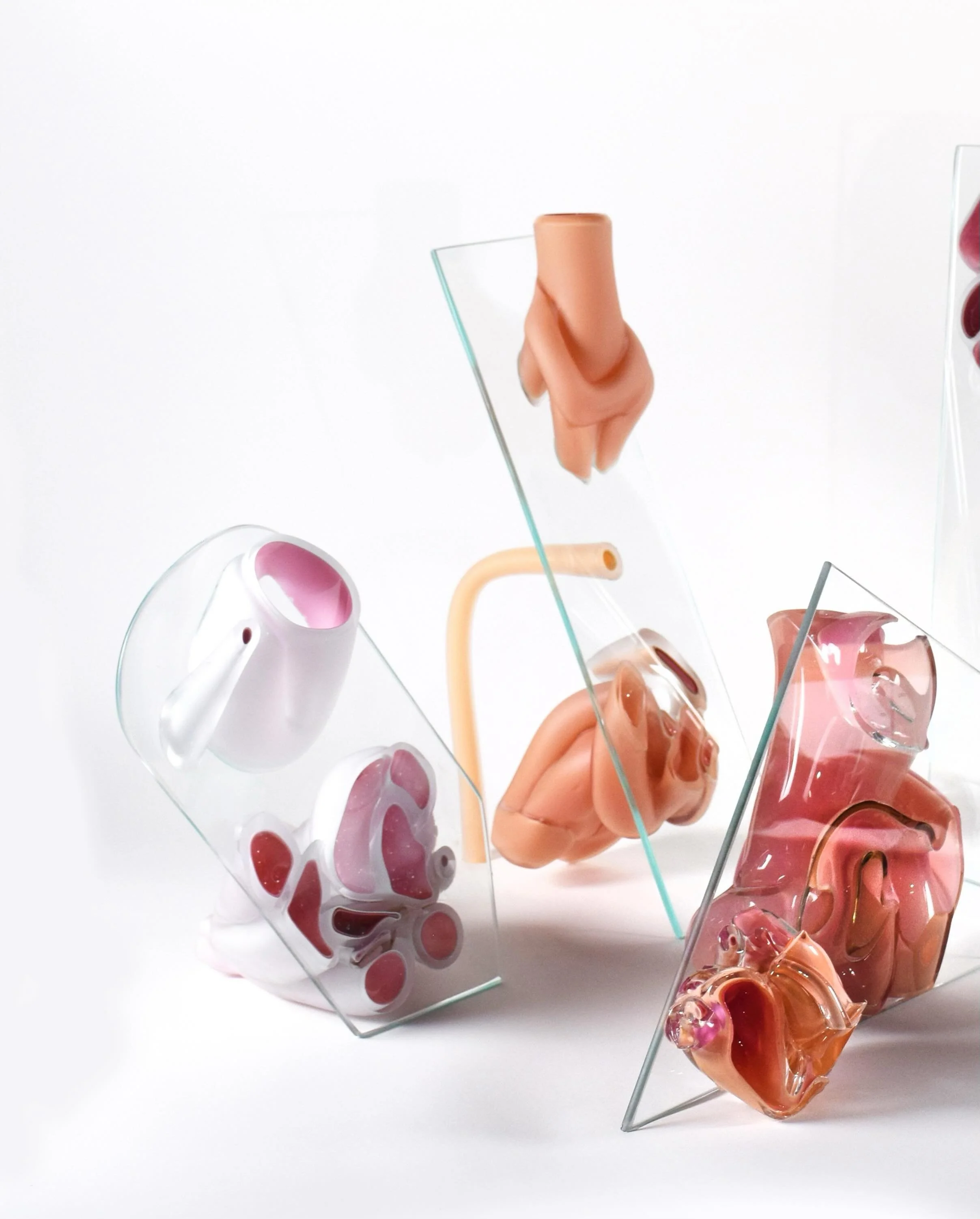 Proxy Bodies 
I thought I was making work about one thing, and then I took an unhinged detour into vessel, bodies, and imaging planes. This work emerges from a feedback loop between bodily perception, medical imaging, and AI-generated image space. Th