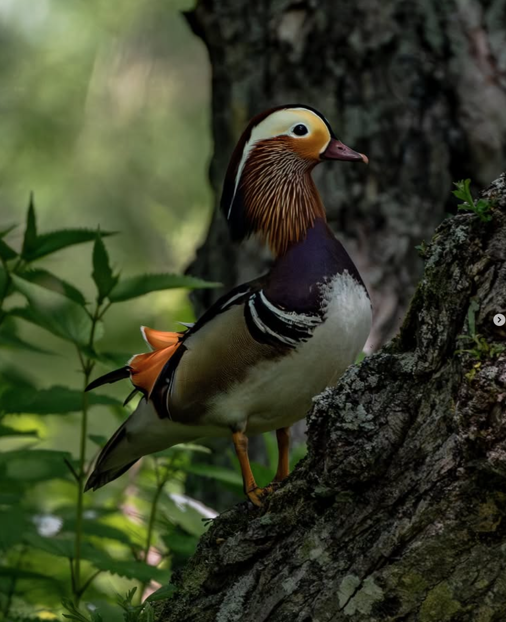 Screenshot 2026-02-27 at 9.52.19 p.m..png