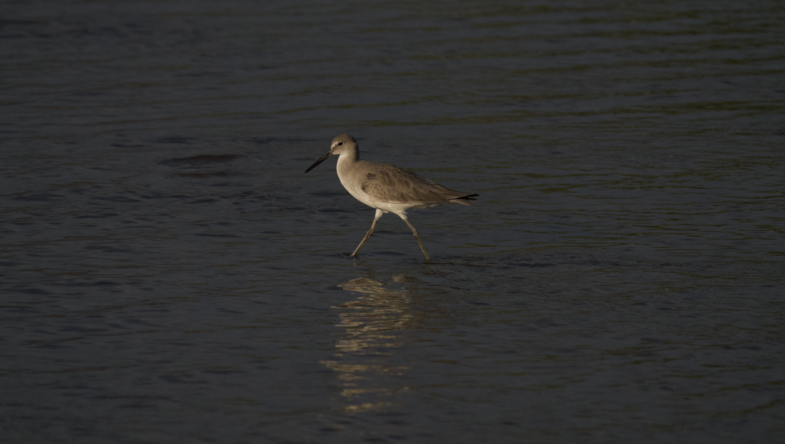 Screenshot 2026-02-27 at 9.48.06 p.m..png