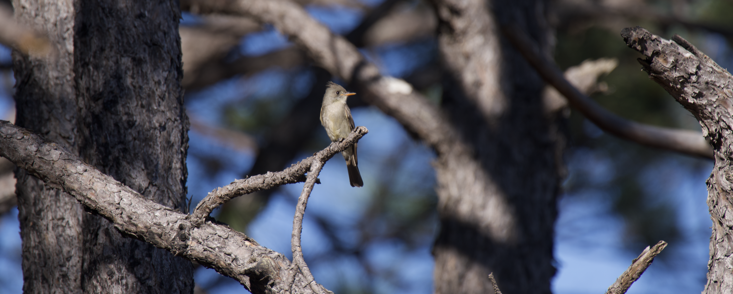 Screenshot 2026-02-27 at 9.31.49 p.m..png