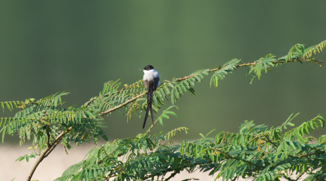 Screenshot 2026-02-27 at 10.53.42 p.m..png