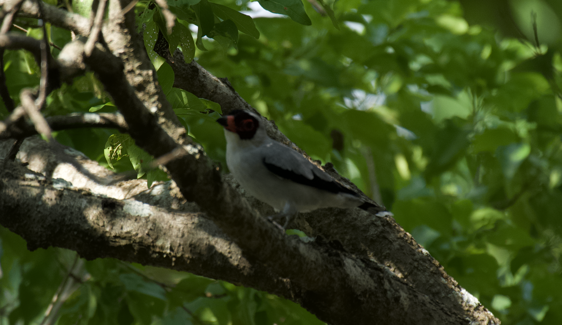 Screenshot 2026-02-27 at 9.41.29 p.m..png