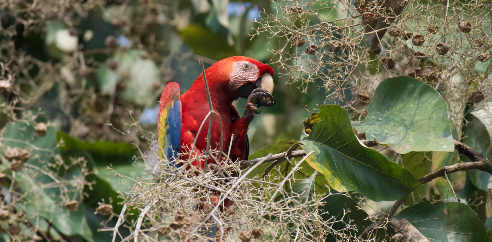 Screenshot 2026-02-27 at 10.46.19 p.m..png