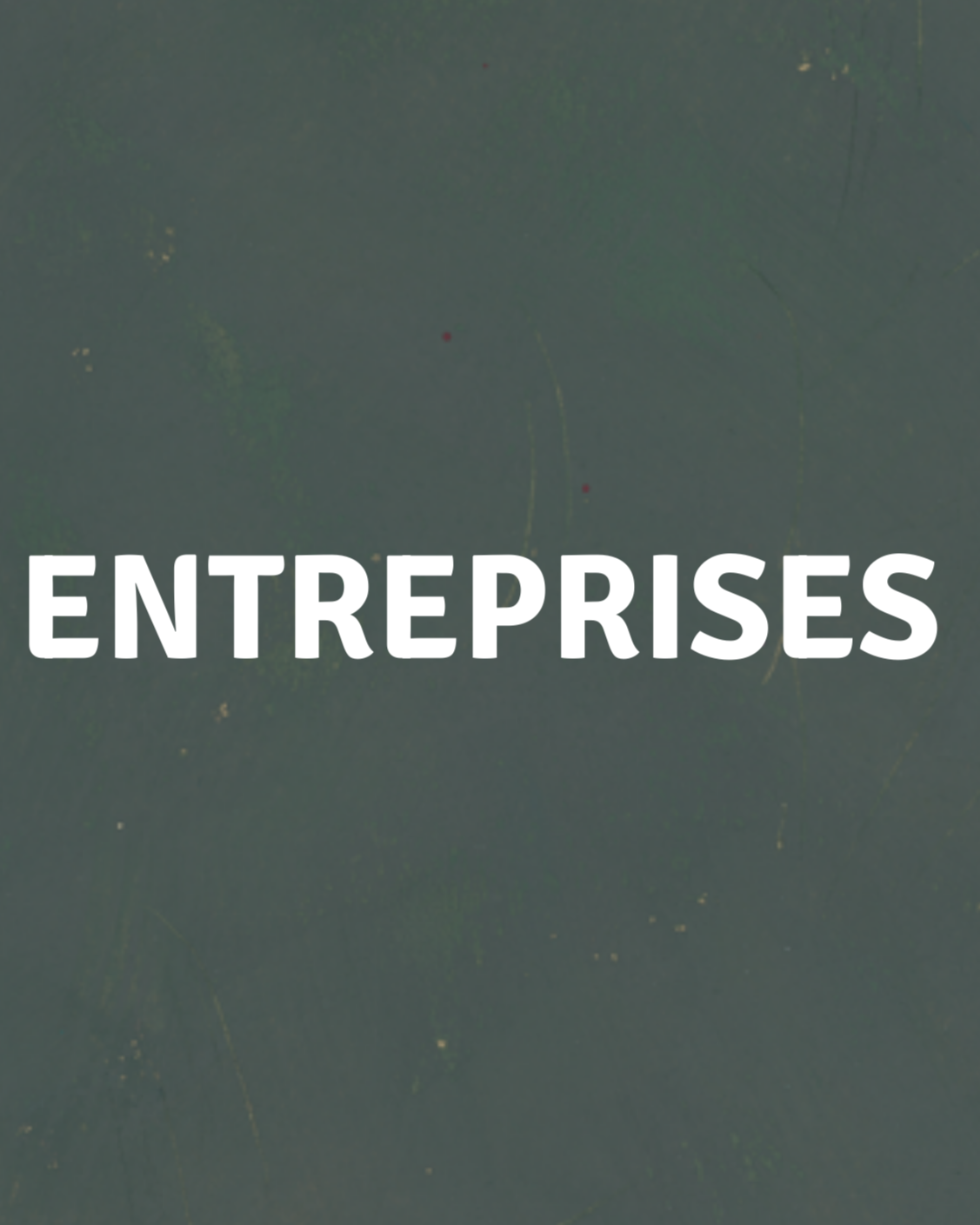 Conférences et Formations