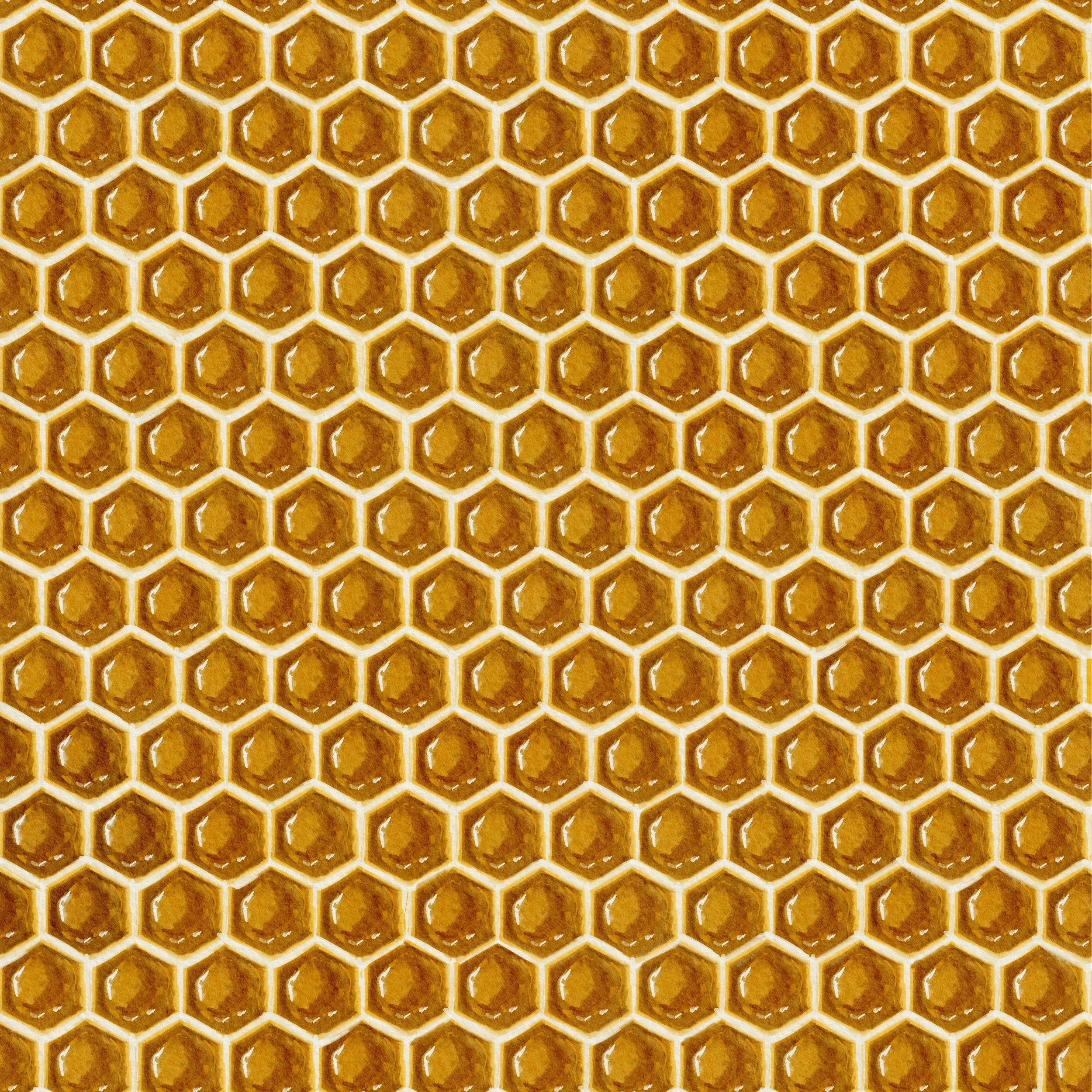 PatternTemplates.jpg