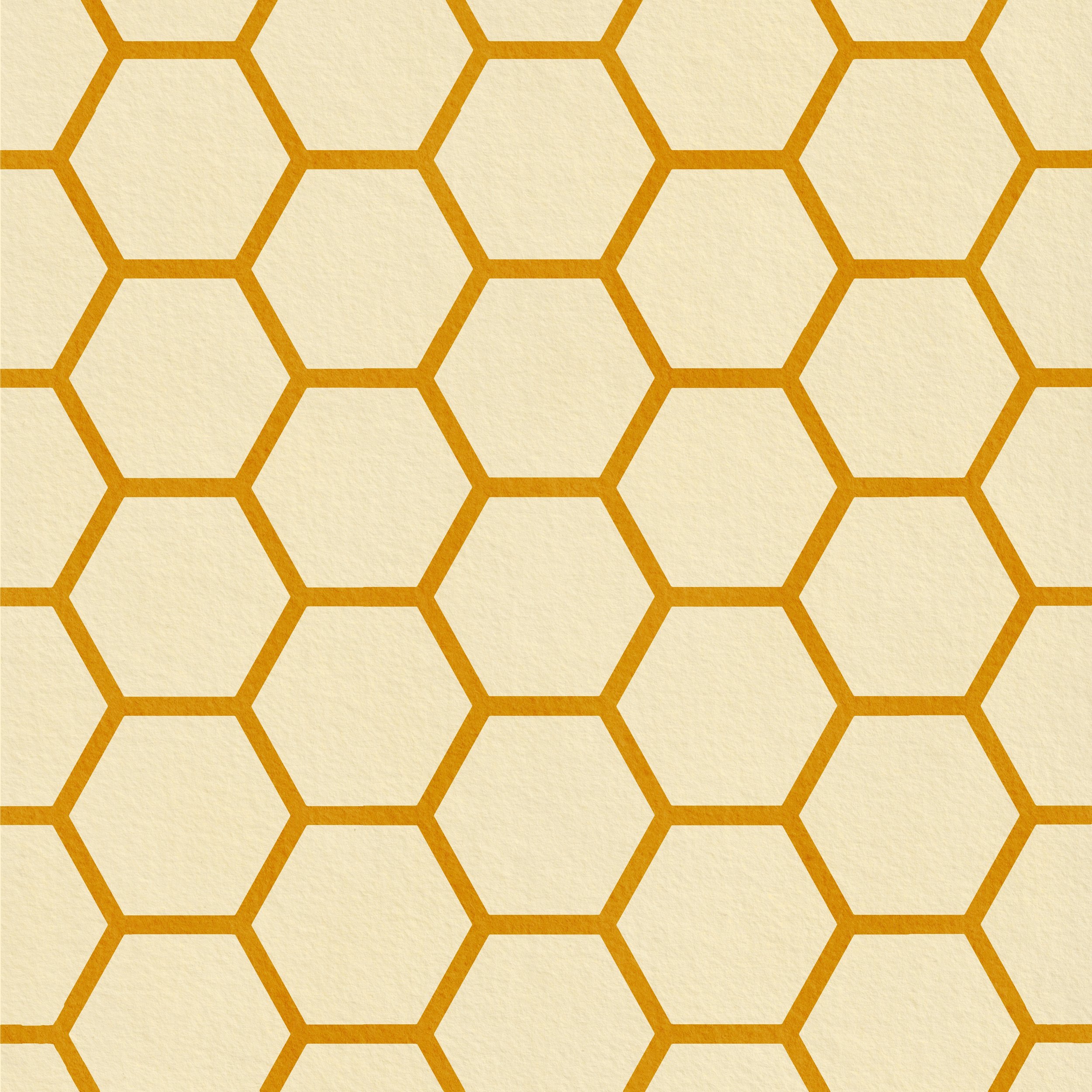 PatternTemplates (2).jpg