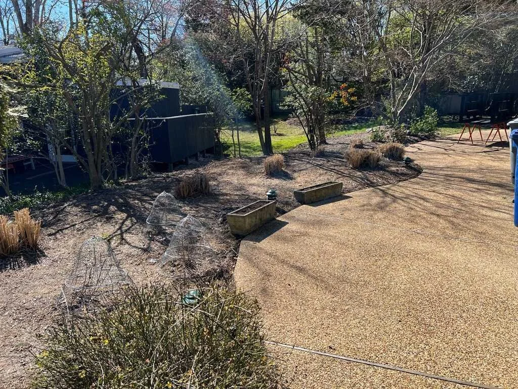 Photo #1 Before.jpeg