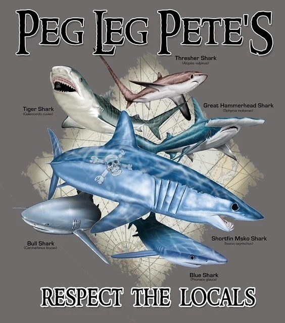Pegs.jpg