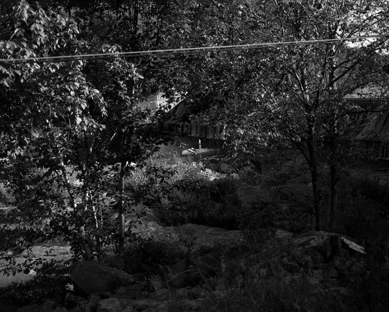 Aubree_Guilbault_4 copy.jpg