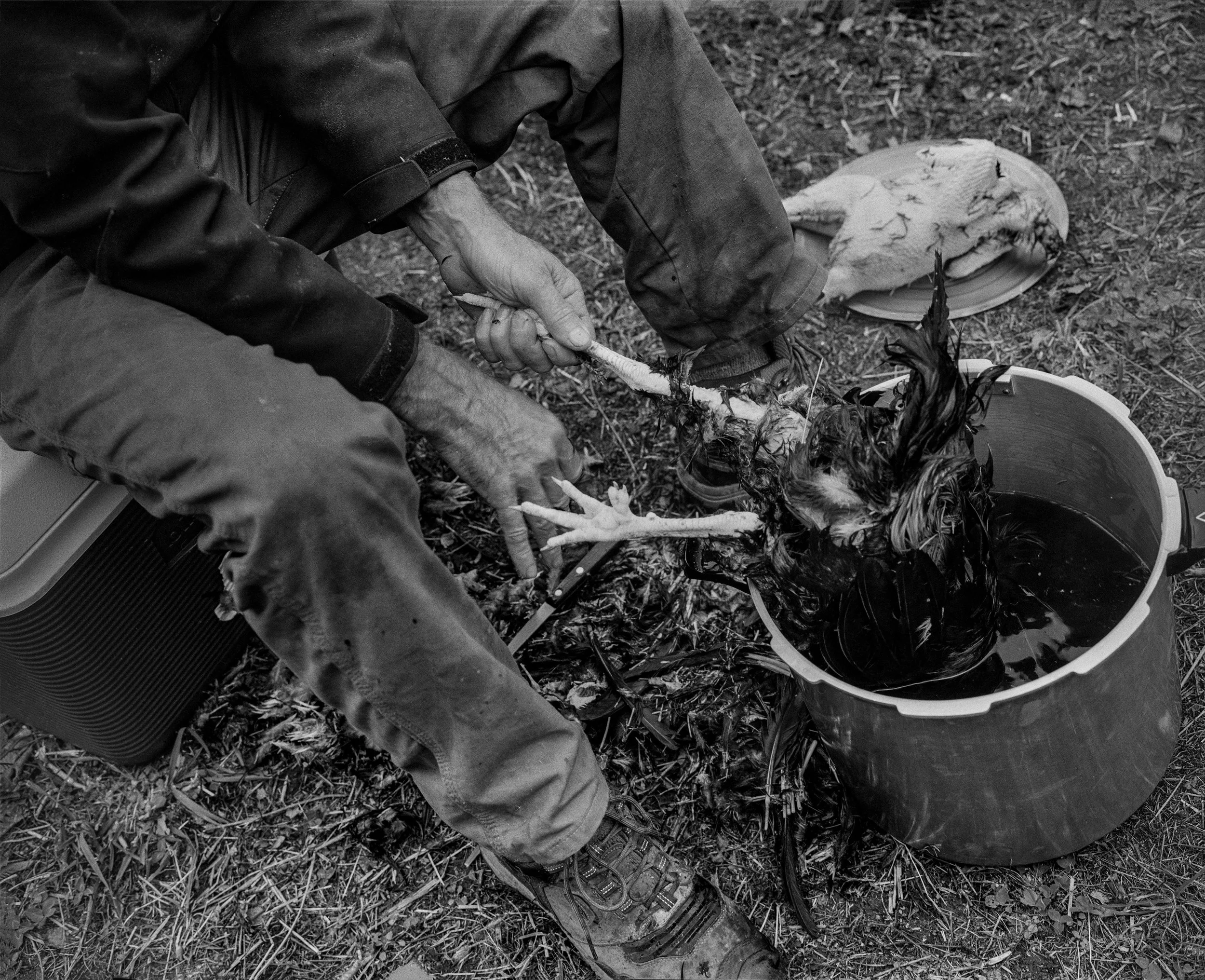 Teaching Moment 2025 120 HP5.jpg