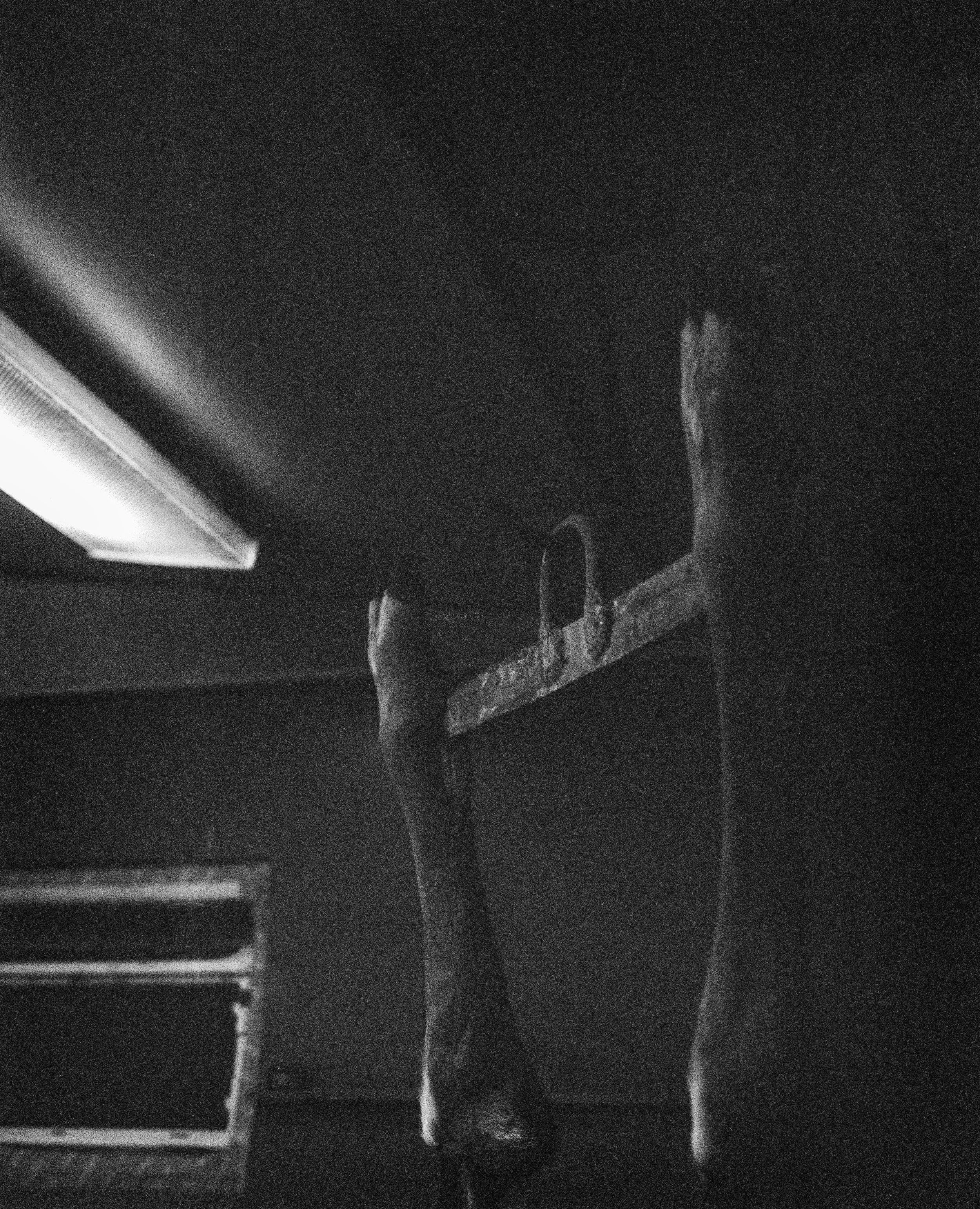 The Cellar 2026 120 TMAX.jpg